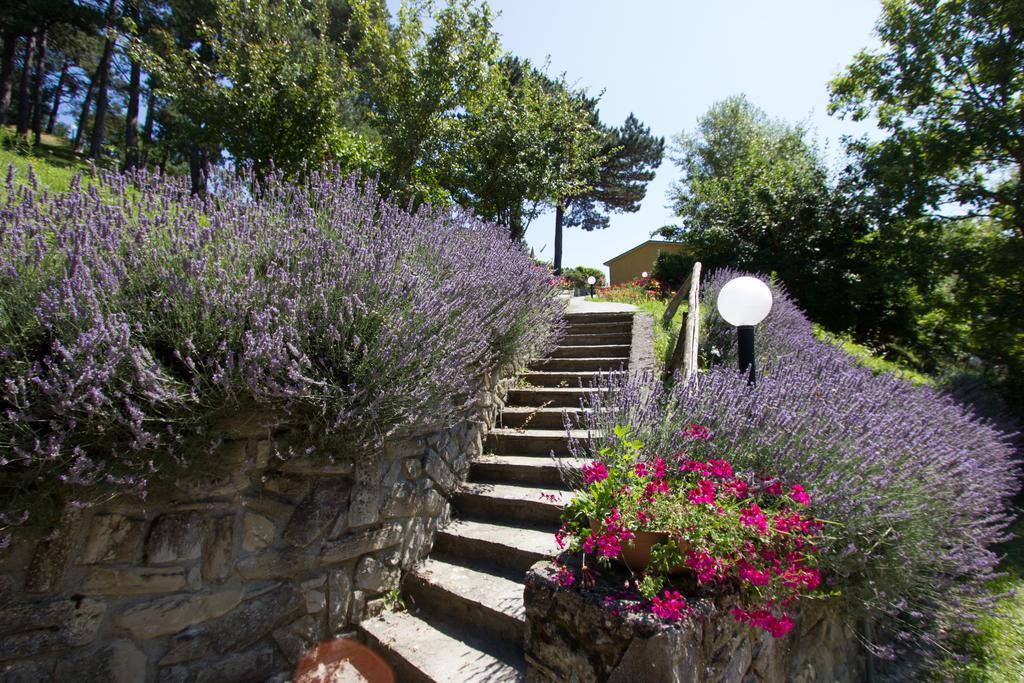 Antico Borgo I Cancelli Palazzuolo Sul Senio Bagian luar foto
